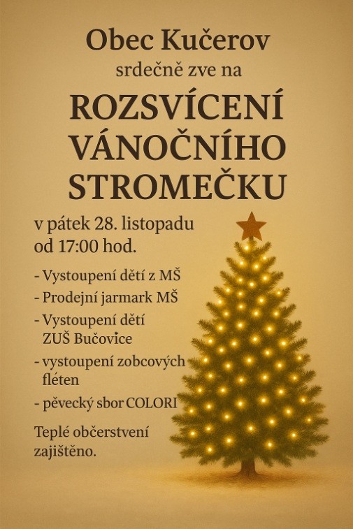 Rozsvícení vánočního stromečku