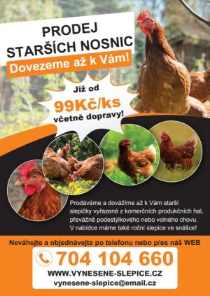 Prodej slepic